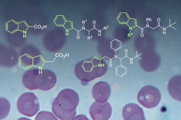A partir de base comum, cientistas testam mol&eacute;culas no combate ao parasita