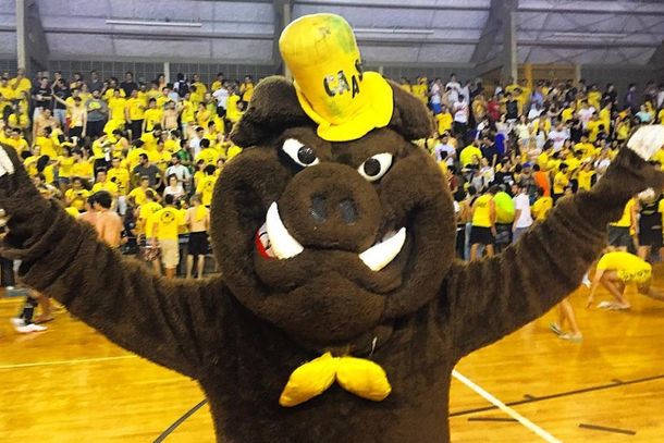 Mascote da atl&eacute;tica Caaso, da USP em S&atilde;o Carlos