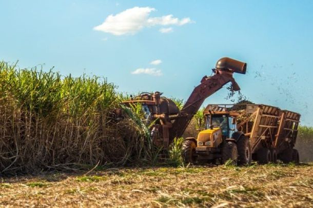 O a&ccedil;&uacute;car representou 95,1% e o &aacute;lcool et&iacute;lico, etanol, 4,9% do complexo sucroalcooleiro