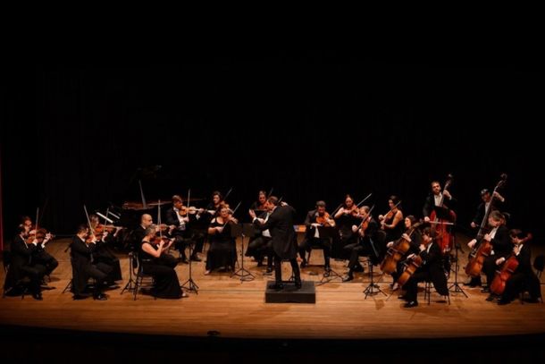 No total, ser&atilde;o disponibilizadas 20 vagas gratuitas distribu&iacute;das entre quatro instrumentos de cordas: violino, viola de arco, violoncelo e contrabaixo ac&uacute;stico
