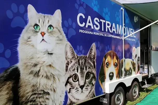 A castra&ccedil;&atilde;o &eacute; apontada como uma medida essencial de sa&uacute;de p&uacute;blica e bem-estar anima