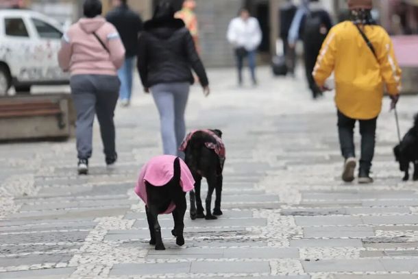 Onda de frio provoca queda acentuada de temperatura na regi&atilde;o.