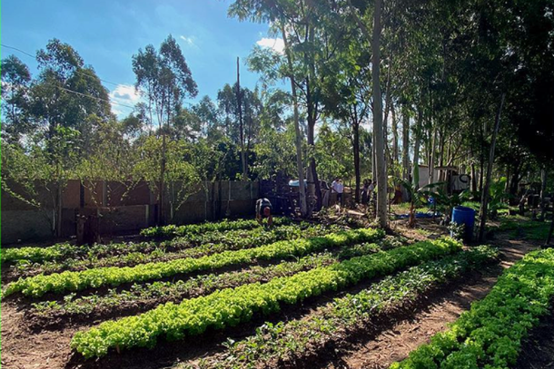 &Aacute;rea produtiva do assentamento Cap&atilde;o da Antas e processo de regulariza&ccedil;&atilde;o