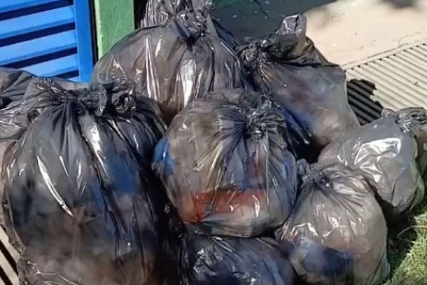 Desrespito com a popula&ccedil;&atilde;o e com o servidor p&uacute;blico 