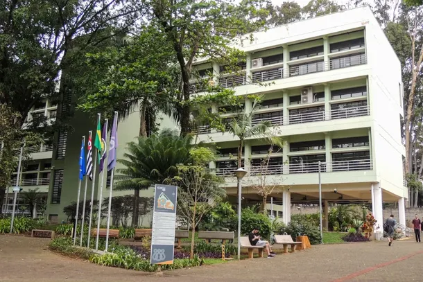 O conte&uacute;do &eacute; direcionado prioritariamente a estudantes de gradua&ccedil;&atilde;o de diversas &aacute;reas que pretendem aplicar IA em seus projetos