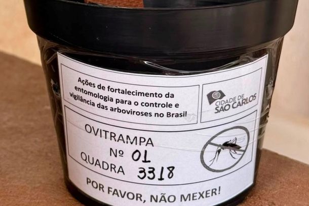 Ovitrampas para monitoramento do Aedes aegypti