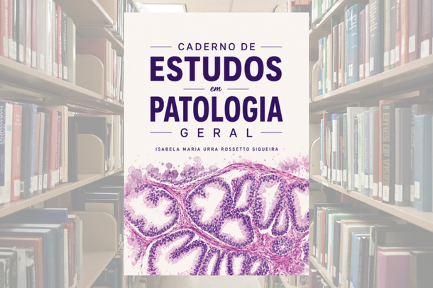 O livro est&aacute; dispon&iacute;vel para download gratuito