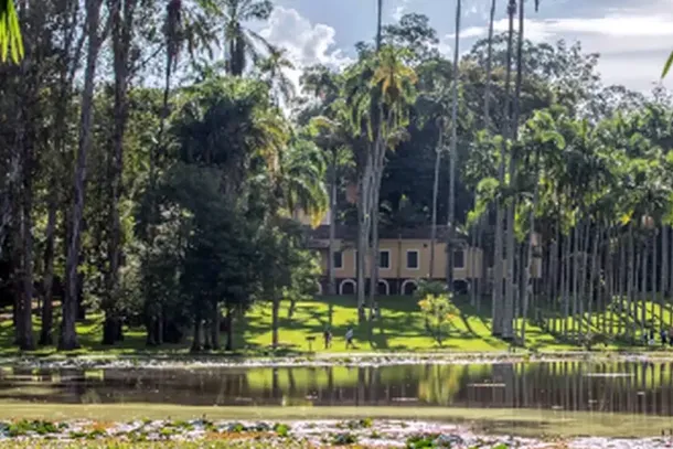 A partir de 2002, o antigo Horto Florestal Edmundo Navarro de Andrade foi classificado na categoria de Floresta, que visa o manejo sustent&aacute;vel dos recursos, a pesquisa e a visita&ccedil;&atilde;o p&uacute;blica, tornando-se a FEENA