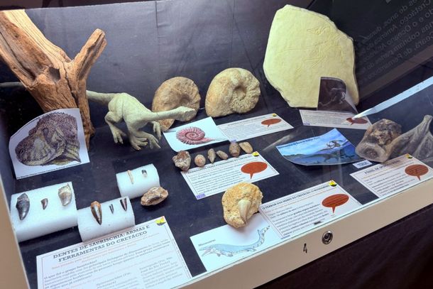 O destaque da expans&atilde;o inclui marcas de pegadas de pterossauros (r&eacute;pteis voadores) encontradas em uma pedreira na regi&atilde;o de Araraquara
