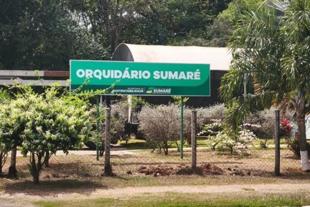 Reprodu&ccedil;&atilde;o