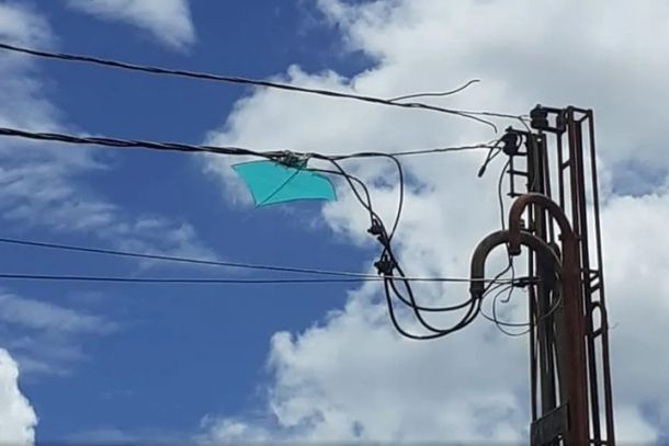 Reprodu&ccedil;&atilde;o