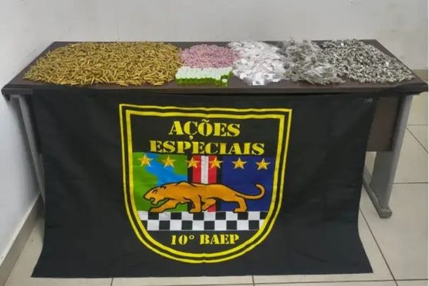 Reprodu&ccedil;&atilde;o