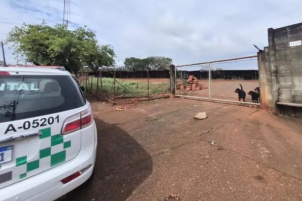 P&aacute;tio da madeireira estava vazio durante fiscaliza&ccedil;&atilde;o em Sumar&eacute;