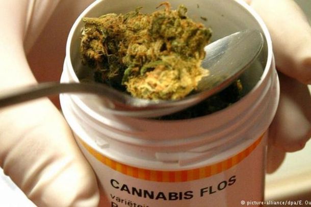 O uso de medicamentos a base do canabidiol &eacute; regulamentado pela Anvisa