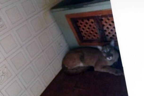 O fato ocorreu na Rua Chile, na cidade de Xambr&ecirc;