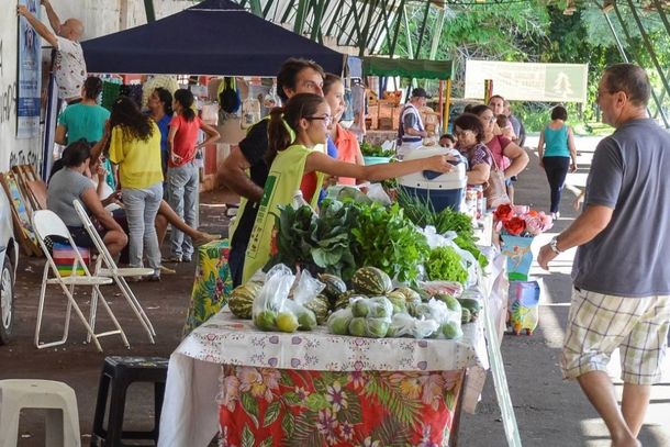 Al&eacute;m de ofertar alimentos saud&aacute;veis, Feira &eacute; um ponto de encontro de artistas e outros empreendedores de Umuarama e regi&atilde;o