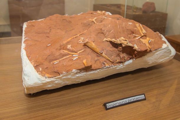 Desde de julho museu est&aacute; aberto a visita&ccedil;&atilde;o