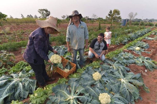A propriedade do casal de agricultores Devanir e Elza Favoreto j&aacute; est&aacute; h&aacute; mais de quatro anos em sistema org&acirc;nico de produ&ccedil;&atilde;o