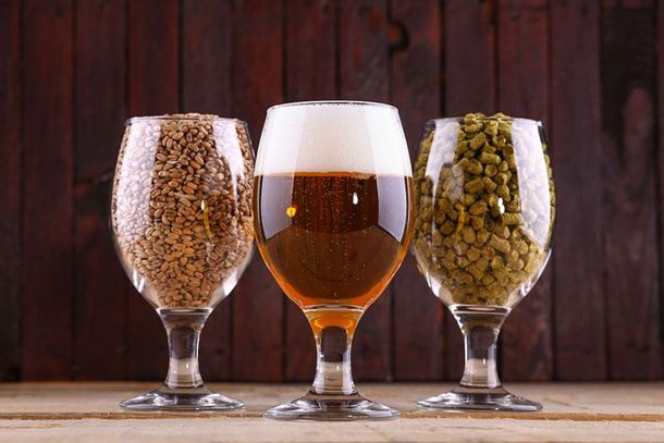 Os participantes poder&atilde;o compreender todas as etapas que envolvem a produ&ccedil;&atilde;o de cerveja artesanal