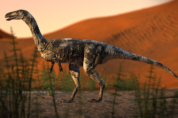 O Vespersaurus paranaensis foi um dinossauro pequeno, carn&iacute;voro, com bra&ccedil;os curtos, e b&iacute;pede 