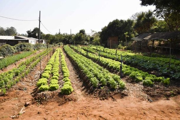 A produ&ccedil;&atilde;o ser&aacute; agroecol&oacute;gica e destinada ao consumo das fam&iacute;lias e &agrave; comercializa&ccedil;&atilde;o dos excedentes
