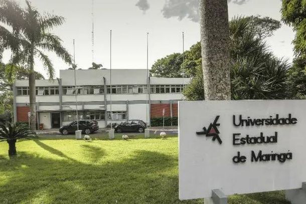 Os est&aacute;gios n&atilde;o-obrigat&oacute;rios (extracurriculares) podem ter continuidade neste per&iacute;odo, observada a legisla&ccedil;&atilde;o federal, estadual e municipal relativa &agrave; mat&eacute;ria