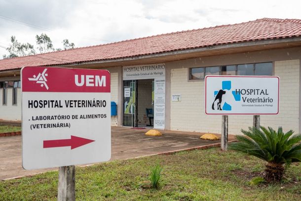 O per&iacute;odo para ter a isen&ccedil;&atilde;o &eacute; curto, come&ccedil;a hoje e termina nesta quinta-feira (2)