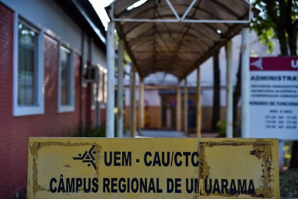 Atualmente, a UEM disp&otilde;e de 31 empresas juniores (EJs) ligadas a todas as &aacute;reas do conhecimento