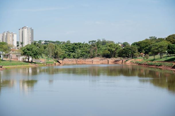 A ideia é que as mudas se desenvolvam e floresçam até as comemorações do aniversário da cidade, em junho