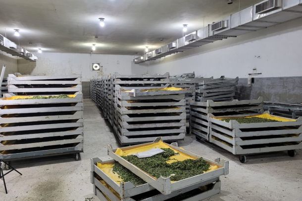 Somente no Paran&aacute; j&aacute; s&atilde;o 306 casos de intoxica&ccedil;&atilde;o por aplica&ccedil;&atilde;o irregular de pesticidas com den&uacute;ncias formalizadas perante o &oacute;rg&atilde;o de defesa agropecu&aacute;ria