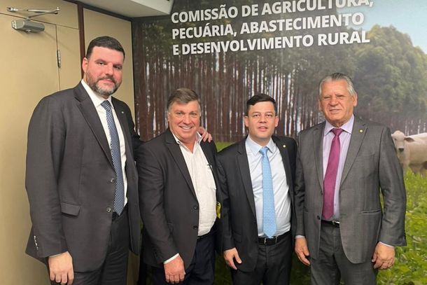 Prefeito Celso Pozzobom durante audi&ecirc;ncias em inst&acirc;ncias do Governo Federal