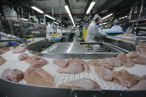  Levo Alimentos é um dos cinco frigoríficos do Estado que pode ser habilitado a comercializar frango para a China