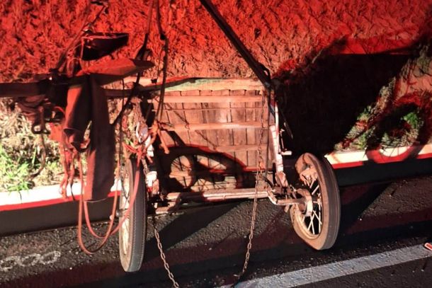 A charrete foi atingida por um caminhão de Cruzeiro do Oeste durante travessia da rodovia