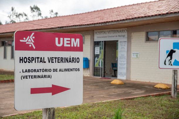 UEM publica editais de abertura do Vestibular de Ver&atilde;o e do PAS