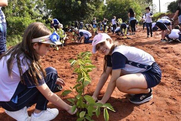 Plantio ganhou contorno de atividade pr&aacute;tica dos conte&uacute;dos de educa&ccedil;&atilde;o ambiental trabalhados em sala de aula