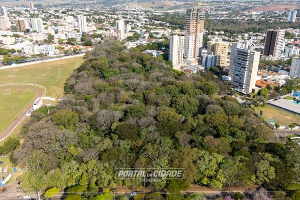 Com 58 mil m&sup2;, o Bosque oferece pista de caminhada, quiosques, parques, cancha de bocha e academia ao ar livre para todas as idades.