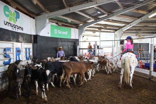 Cada leil&atilde;o &eacute; resultado do empenho de volunt&aacute;rios, parceiros e cidades inteiras que se unem em torno de um prop&oacute;sito comum: salvar vidas