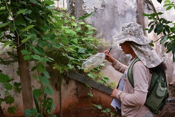 Agentes apuram o &iacute;ndice de infesta&ccedil;&atilde;o em todas as regi&otilde;es da cidade
