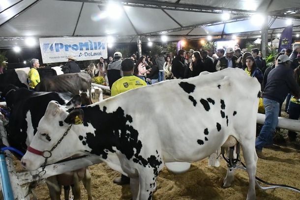 Durante os dias de feira, cerca de 20 expositores movimentaram as estruturas com animais de pequeno e grande porte