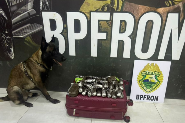 O preju&iacute;zo estimado ao crime organizado &eacute; de aproximadamente R$ 312 mil