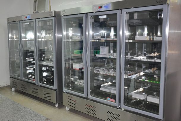 Desligamento da energia el&eacute;trica comprometeu imunizantes armazenados na unidade