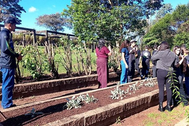Durante a visita orientada, os estudantes ampliaram sua compreens&atilde;o sobre os usos terap&ecirc;uticos das plantas, t&eacute;cnicas adequadas de cultivo e manejo