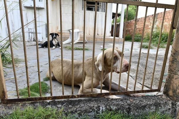 As orienta&ccedil;&otilde;es visam prevenir a popula&ccedil;&atilde;o sobre eventuais tentativas de golpes