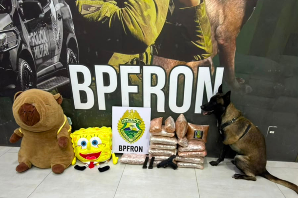 A abordagem ocorreu durante fiscaliza&ccedil;&atilde;o a um &ocirc;nibus interestadual que fazia a linha Campo Grande (MS) a Curitiba (PR).