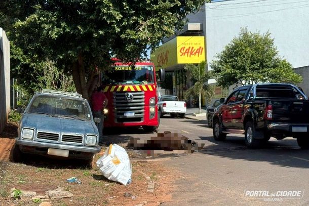 Acidente ocorreu durante o transporte do equino, na rua Jorge Lozovoy
