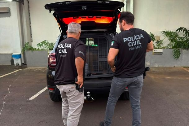 Detido cumprir&aacute; pena superior a 4 anos, inicialmente em regime fechado