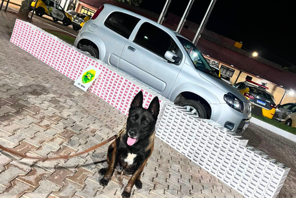 A carga il&iacute;cita foi localizada durante a vistoria realizada pela equipe especializada com apoio de c&atilde;es farejadores
