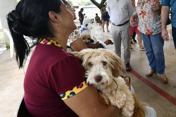 Nesta etapa, ser&atilde;o disponibilizadas 50 vagas para castra&ccedil;&atilde;o, sendo permitido o cadastro de at&eacute; dois pets por tutor