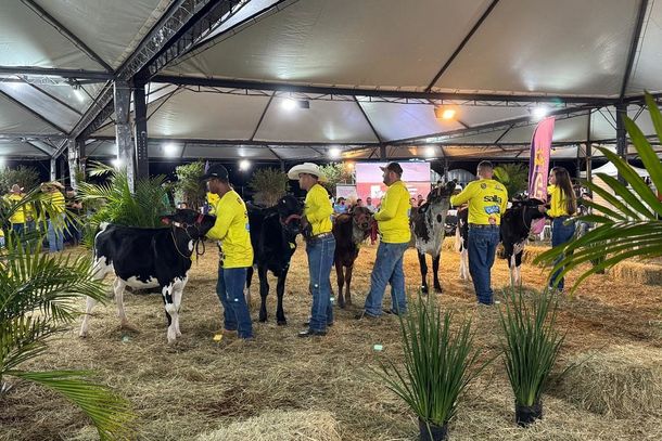 O julgamento de ra&ccedil;as reconhece o trabalho cont&iacute;nuo dos produtores na sele&ccedil;&atilde;o gen&eacute;tica, manejo e aprimoramento dos rebanhos