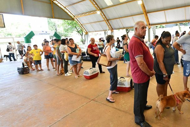 Tutores devem se inscrever presencialmente na Secretaria de Meio Ambiente a partir de segunda-feira (24)